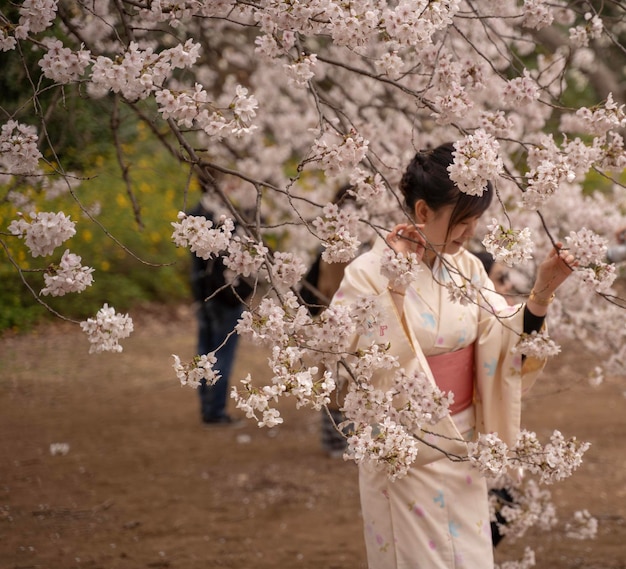 Une femme en robe traditionnelle debout au milieu d'un cerisier