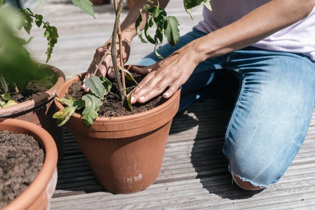 Femme s'occupant des plantes sur le balcon