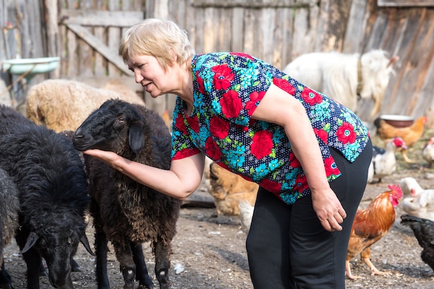 Femme à sa ferme ovine, animaux et nature