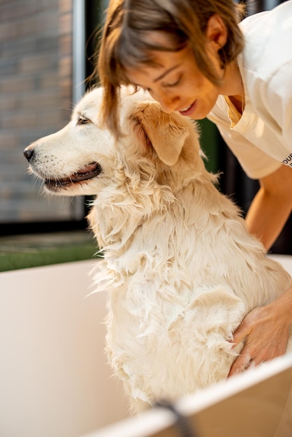 Femme savonne son chien dans la baignoire
