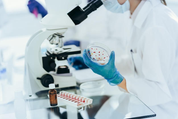 Femme scientifique avec une boîte de Pétri assis à une table de laboratoire