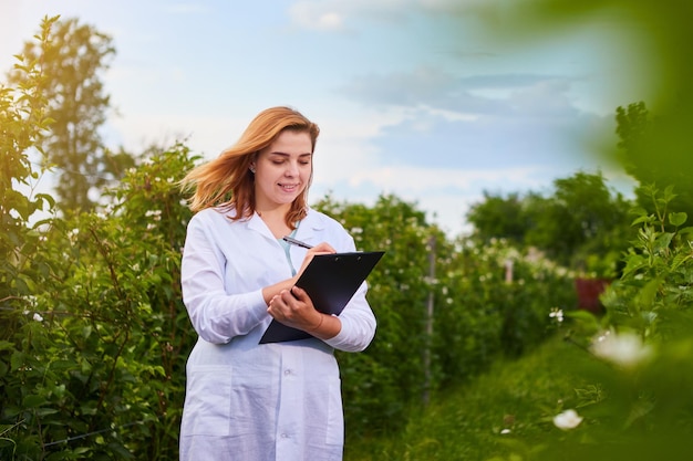 Femme scientifique travaillant dans un jardin fruitier Un inspecteur biologiste examine les buissons de mûres