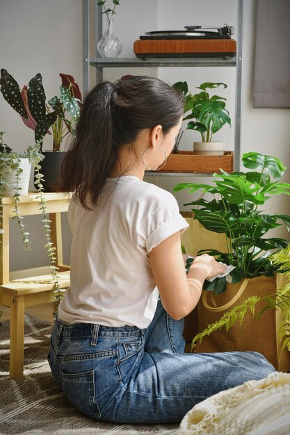 Femme se détendre et prendre soin des feuilles de monstera Plante artificielle Fiddle leaf figuier Plante d'intérieur naturelle tropicale d'intérieur pour l'intérieur de la maison et la purification de l'air