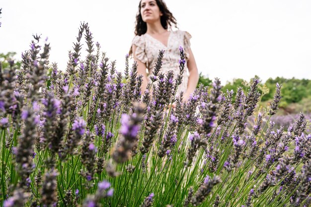 Une femme se tient dans un champ de lavande.