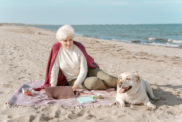 Femme senior calme avec l'ordinateur portable assis sur le sable et regardant son chien mignon