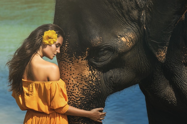 Femme sensuelle en belle robe orange et puissant éléphant