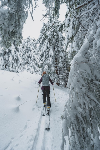 Personnes Miniatures Skiant Dans La Neige Blanche Fraîche De L'hiver