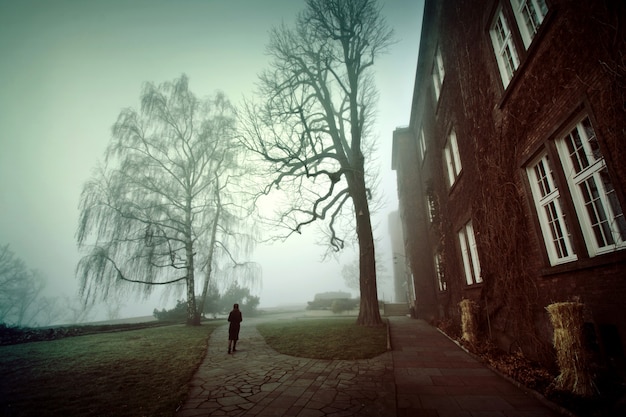 Photo femme solitaire marchant dans le parc brumeux le matin. brouillard dans le parc.