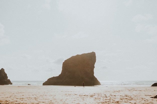 Femme et son chien jouant à la plage