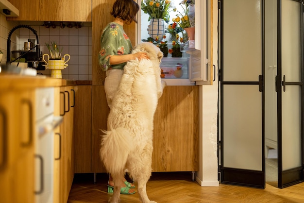 Une femme avec son chien regarde dans un réfrigérateur rempli de fleurs à la maison