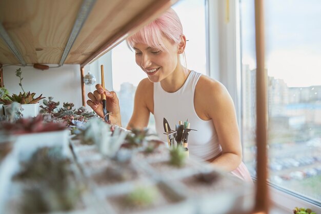 Une femme souriante aux cheveux roses s'occupe de plantes d'intérieur succulentes à la maison