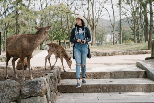 une femme souriante avec une caméra en randonnée dans le parc de nara regarde les cerfs sauvages qui se demandent autour. une rencontre rapprochée avec l'animal sacré au japon