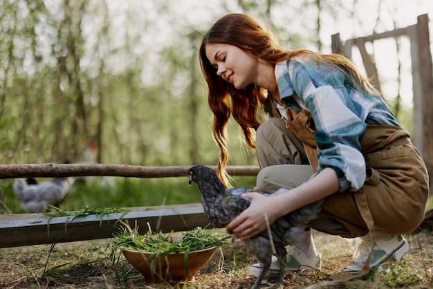 Une femme sourit en regardant le poulet qu'elle tient près de la mangeoire dans ses mains sur le travail agricole de la ferme pour élever des oiseaux en bonne santé et les nourrir d'aliments biologiques dans la nature