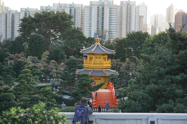 Une femme surplombant un temple au milieu des plantes