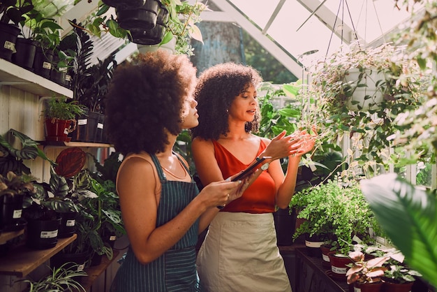 Femme tablette et plantes en discussion dans une serre pour analyse de l'agriculture ou croissance des feuilles en été Démarrage de l'horticulture d'une femme noire ou conversation ensemble pour la santé des plantes ou la durabilité