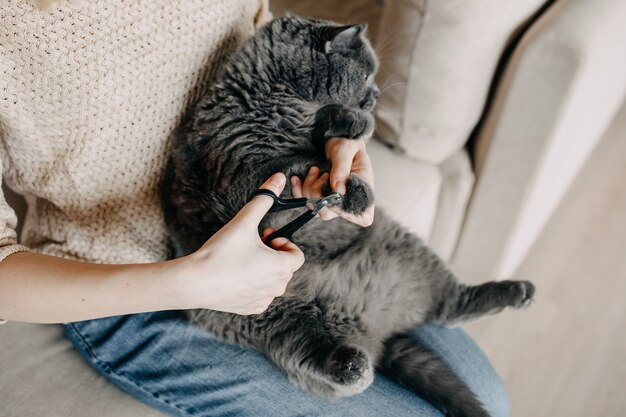 Femme tailler les ongles de chat à la maison avec des ciseaux spéciaux