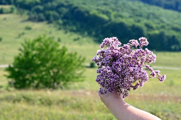 femme tenant un bouquet de fleurs sauvages à la main