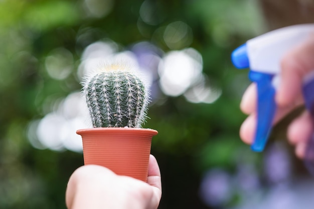 Une femme tenant un cactus dans un pot de fleurs et utilisant une bouteille d'eau pour l'arroser à l'extérieur