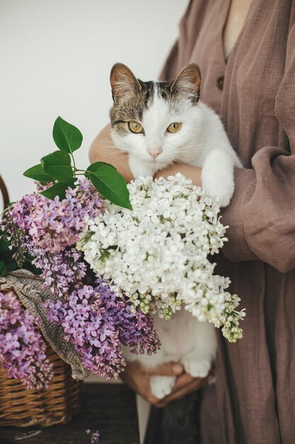 Femme tenant un chaton mignon à de belles fleurs lilas dans un panier en osier Adorable chat curieux dans les mains du propriétaire à des lilas sur fond rustique Fleurs de printemps et animal de compagnie à la maison rurale