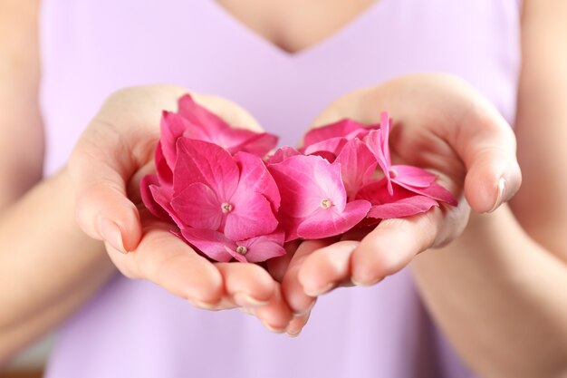 Femme tenant des fleurs roses d'hortensia