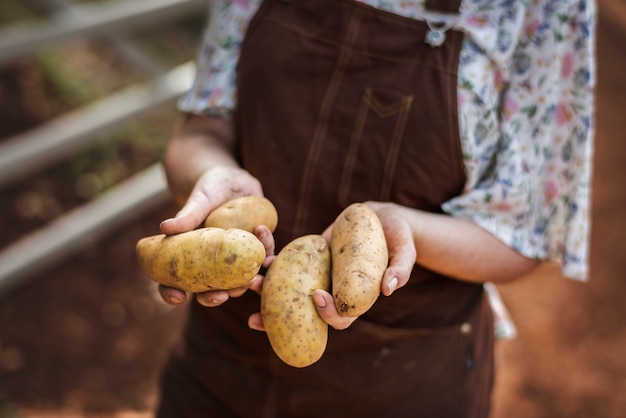 Une femme tenant une idée de recette de photographie de pommes de terre