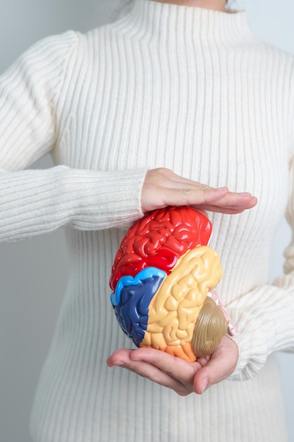 Femme tenant un modèle de cerveau humain Journée mondiale des tumeurs cérébrales AVC cérébral Démence alzheimer parkinson et concept mondial de santé mentale