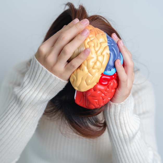 Photo femme tenant un modèle de cerveau humain journée mondiale des tumeurs cérébrales avc cérébral démence alzheimer parkinson et concept mondial de santé mentale