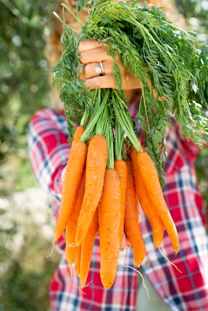 Femme tenant et montrant beaucoup de carottes naturelles oranges - nature et bio concept de nutrition saine avec des légumes purs issus du travail agricole