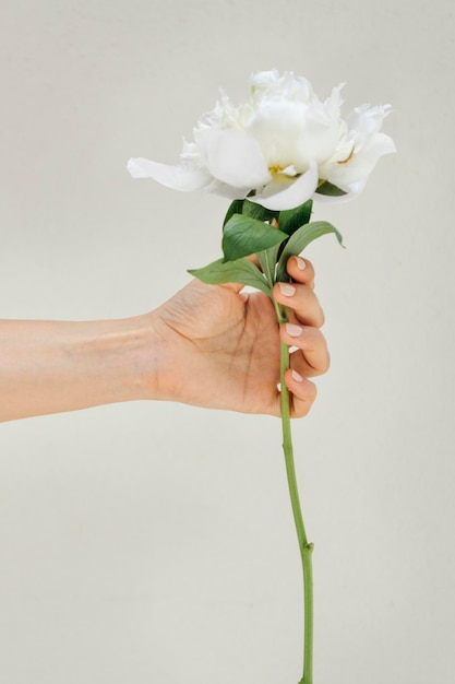 Femme tenant une planche à neige pivoine