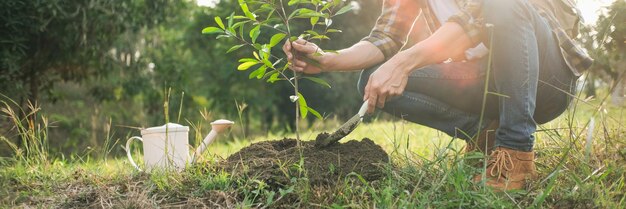 Photo femme tenant des plantes dans le champ