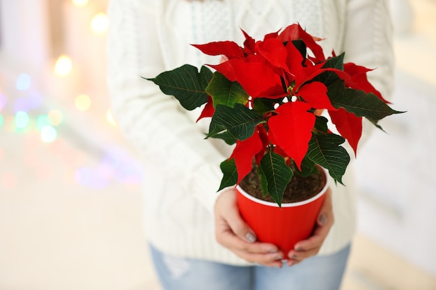 Femme tenant le pot avec le poinsettia de fleur de Noël,