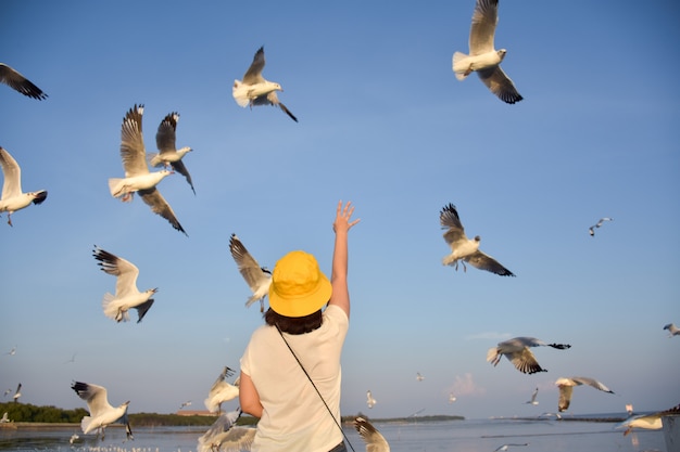 La femme tendit la main vers le ciel avec la mouette volant.