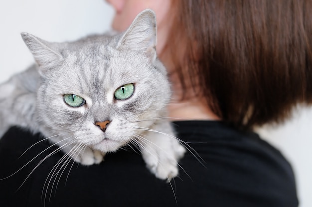 Photo femme, tenue, beau, chat gris