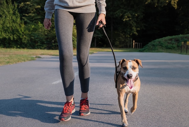 Femme en tenue de course avec son chien. Jeune femme en forme et chien Staffordshire Terrier faisant promenade matinale dans un parc