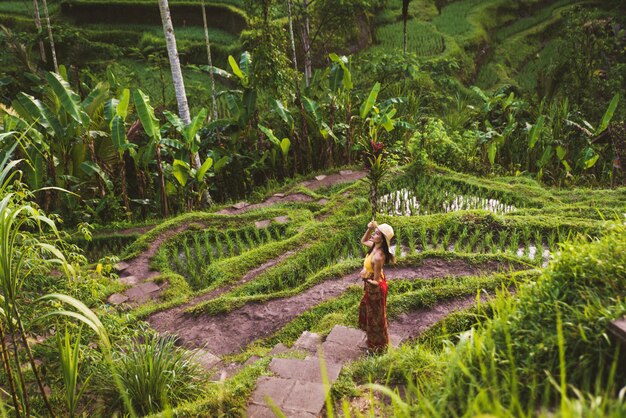 Femme à la terrasse de riz de Tegalalang à Bali