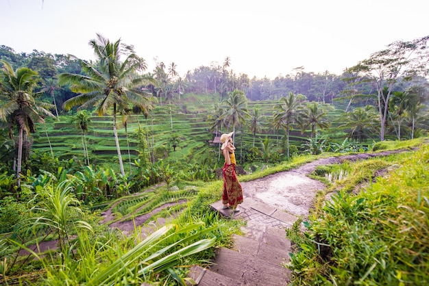 Femme à la terrasse de riz de Tegalalang à Bali