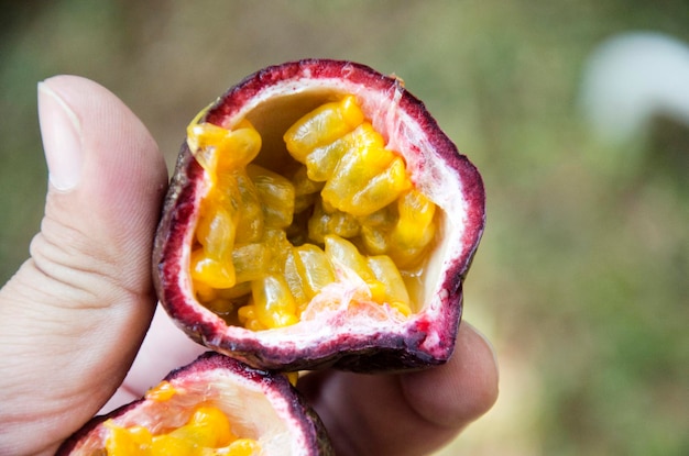 Femme thaïlandaise asiatique s'asseoir et manger des fruits de la passion à la foire du marché de rue bio et fait à la main à Nakhon Ratchasima Thaïlande