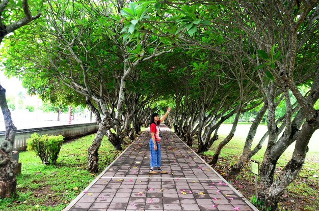 Femme thaïlandaise posant et debout sur le sol avec des fleurs de Plumeria ou de Templetree sur le sol et un tunnel de frangipaniers à Nan Thaïlande