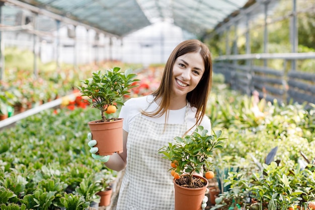 Femme tient un pot de fleurs dans ses mains cultivant des plantes à vendre plante comme cadeau fleurs dans une plante en pot de serre