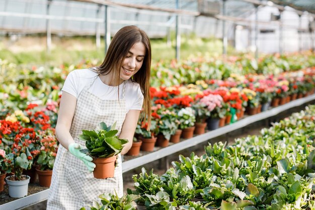 Femme tient un pot de fleurs dans ses mains cultivant des plantes à vendre plante comme cadeau fleurs dans une plante en pot de serre