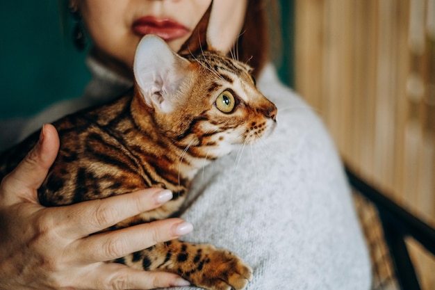 Une femme tient tendrement son chat du Bengale dans ses mains