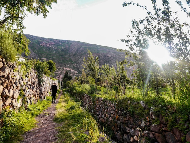 Femme de tourisme sur les plates-formes géantes de Yucay dans la Vallée Sacrée des Incas Cusco