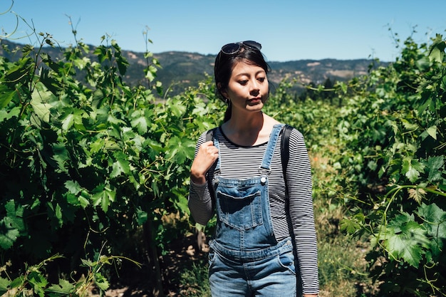 Une femme de tourisme viticole viticole fait l'expérience de la cueillette des raisins dans la nature des plantes vertes sous le soleil. Récolter l'agriculture pour faire du vin blanc. Fille asiatique portant des lunettes de soleil debout dans la vigne.