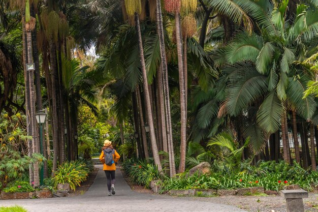 Une femme touriste se promène dans un jardin botanique tropical avec de grands palmiers le long d'un sentier