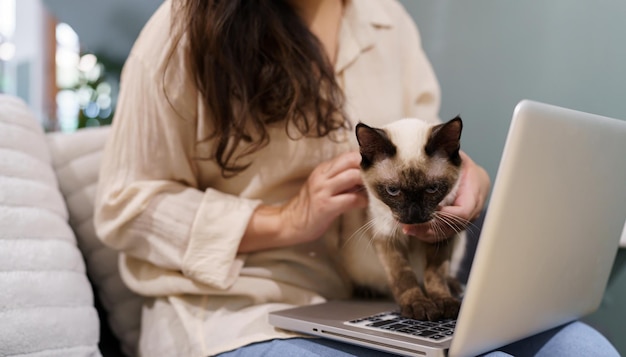 Femme travaillant à domicile avec chat chat endormi sur le clavier d'ordinateur portable assistant chat travaillant sur ordinateur portable