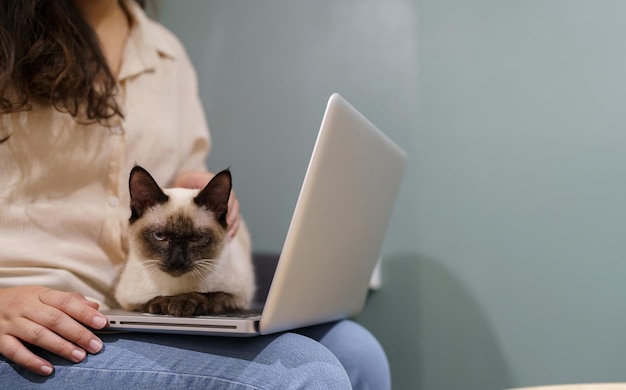 Femme travaillant à domicile avec un chat un chat endormi sur l'ordinateur portable un assistant de clavier un chat travaillant sur un ordinateur portable