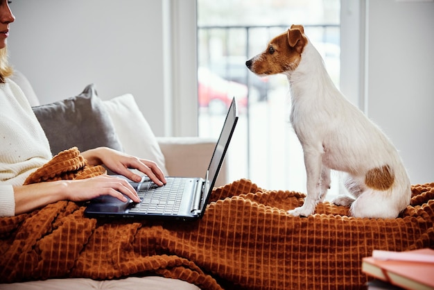 Femme travaillant à la maison avec son chien