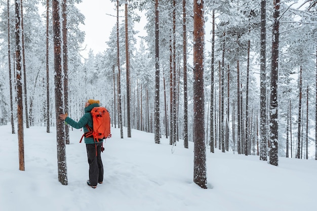 Femme trekking à travers une Laponie couverte de neige, Finlande