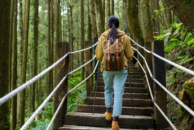 Femme va faire une randonnée dans la forêt