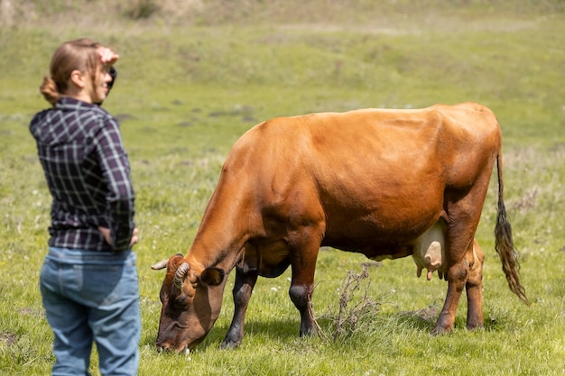 Femme, vache, ferme